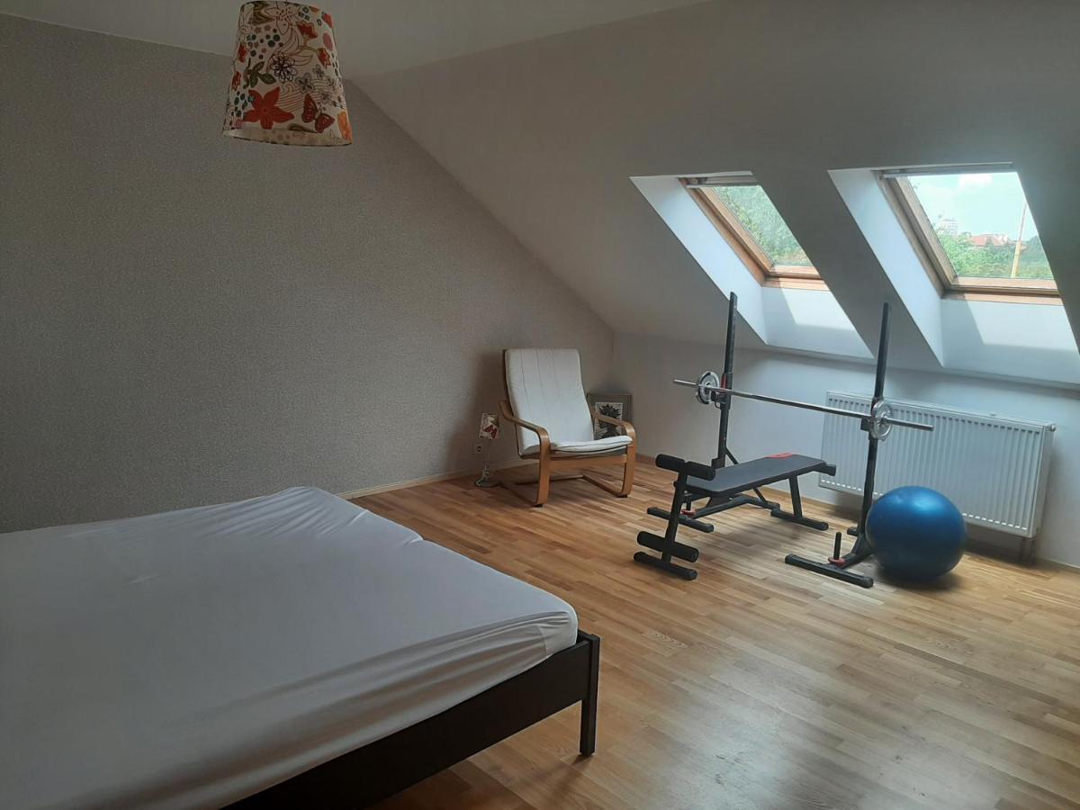 Apartman Dvorak 194 Pod Svatou Horou Příbram المظهر الخارجي الصورة
